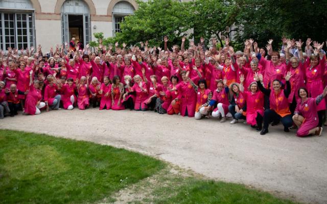 les blouses roses